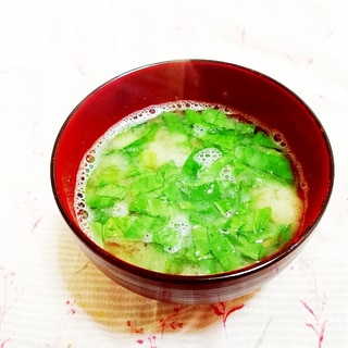 小松菜の葉と玉葱のお味噌汁